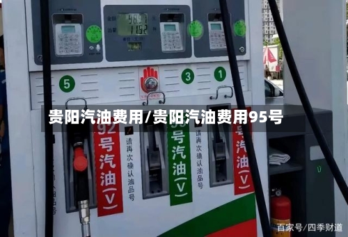 贵阳汽油费用/贵阳汽油费用95号