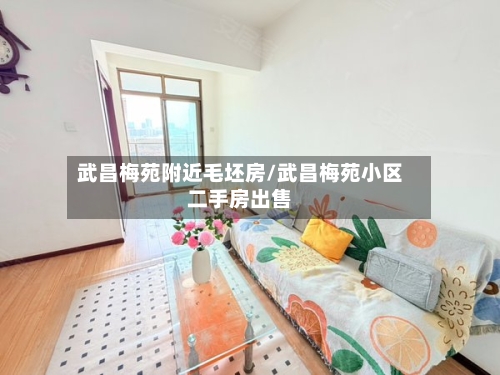 武昌梅苑附近毛坯房/武昌梅苑小区二手房出售