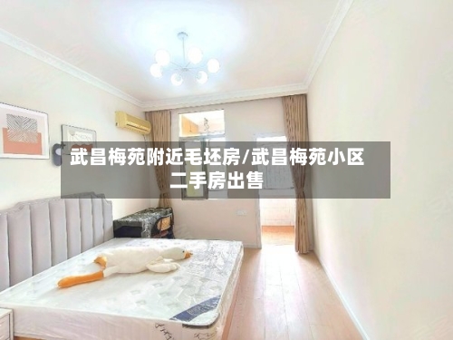 武昌梅苑附近毛坯房/武昌梅苑小区二手房出售-第3张图片