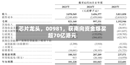 芯片龙头，00981，获南向资金爆买超70亿港元
