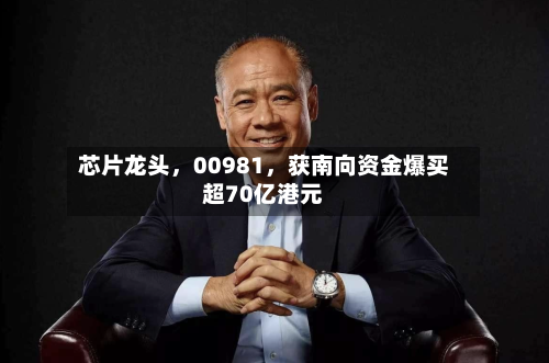 芯片龙头	，00981，获南向资金爆买超70亿港元-第3张图片