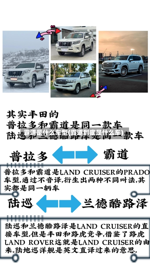 霸道是什么车型(霸道到底是什么车)