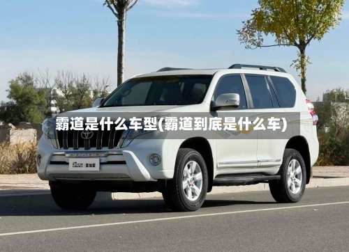 霸道是什么车型(霸道到底是什么车)-第2张图片