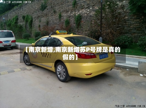 【南京新增,南京新增苏P号牌是真的假的】