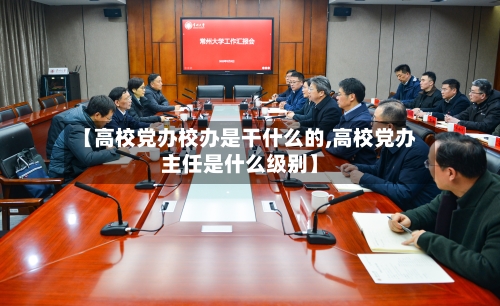 【高校党办校办是干什么的,高校党办主任是什么级别】-第3张图片