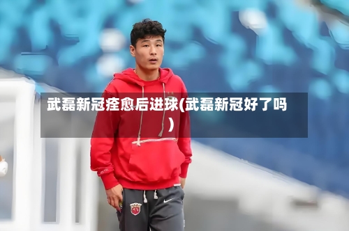武磊新冠痊愈后进球(武磊新冠好了吗)