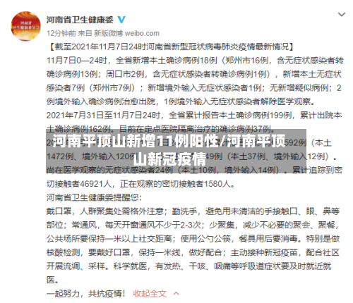 河南平顶山新增11例阳性/河南平顶山新冠疫情-第2张图片