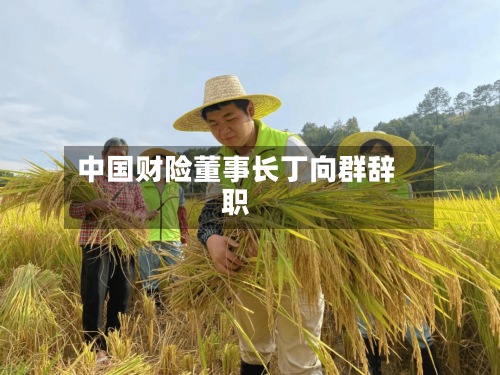 中国财险董事长丁向群辞职