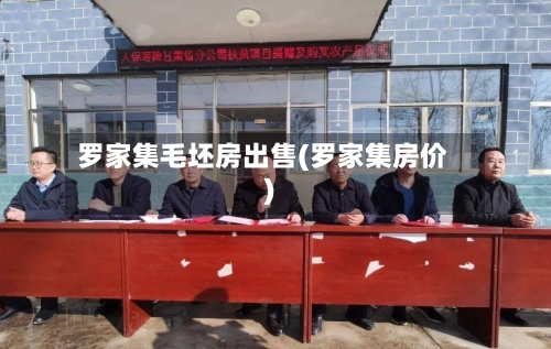 罗家集毛坯房出售(罗家集房价)
