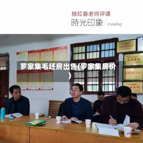 罗家集毛坯房出售(罗家集房价)-第2张图片
