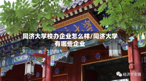 同济大学校办企业怎么样/同济大学有哪些企业-第2张图片