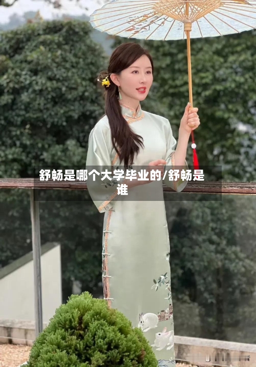 舒畅是哪个大学毕业的/舒畅是谁