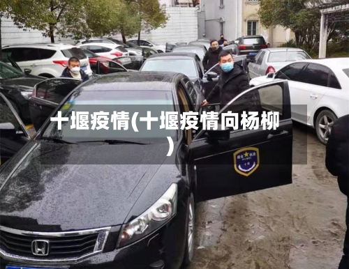 十堰疫情(十堰疫情向杨柳)