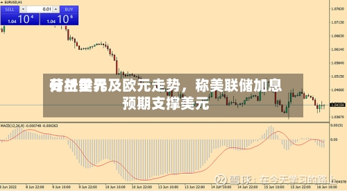 荷兰世界分析美元及欧元走势，称美联储加息预期支撑美元