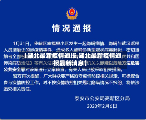【湖北最新疫情通报,湖北最新疫情通报最新消息】-第3张图片