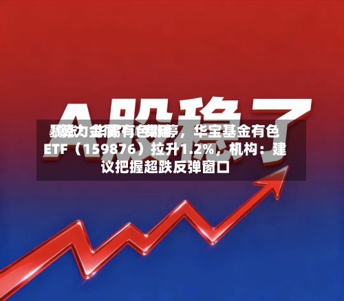 “算力金属	”，费用暴涨！华锡有色涨停，华宝基金有色ETF（159876）拉升1.2%	，机构：建议把握超跌反弹窗口-第3张图片