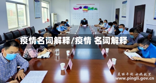 疫情名词解释/疫情 名词解释-第2张图片