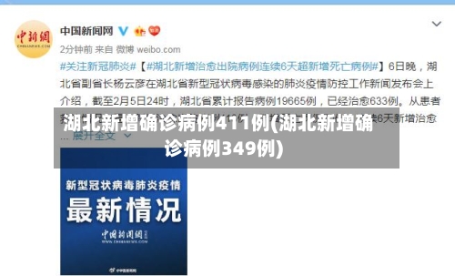 湖北新增确诊病例411例(湖北新增确诊病例349例)
