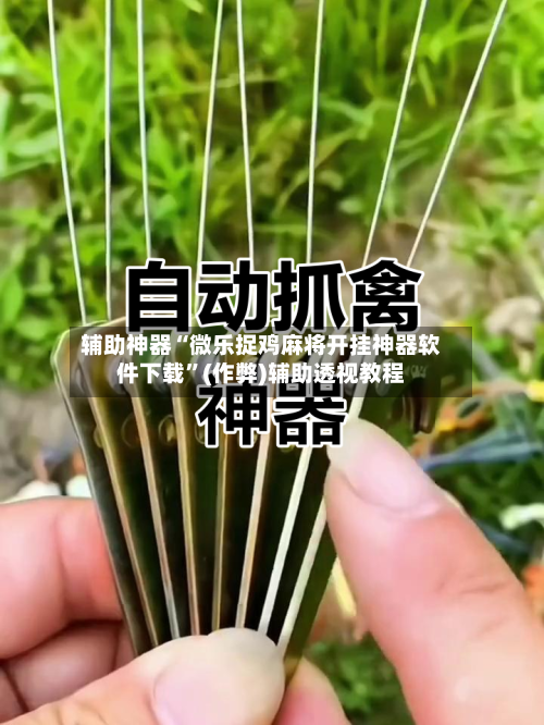 辅助神器“微乐捉鸡麻将开挂神器软件下载”(作弊)辅助透视教程