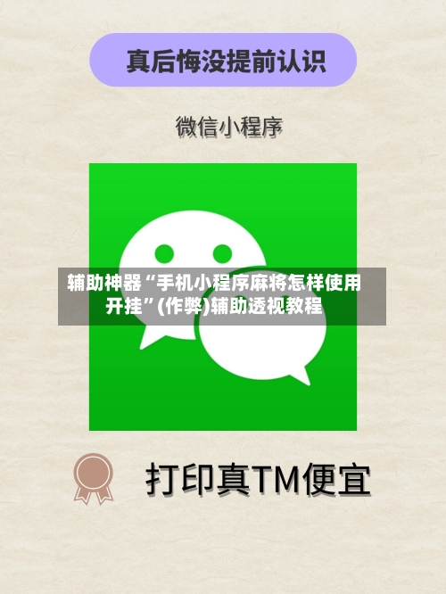 辅助神器“手机小程序麻将怎样使用开挂”(作弊)辅助透视教程-第2张图片