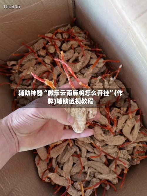 辅助神器“微乐云南麻将怎么开挂”(作弊)辅助透视教程-第3张图片