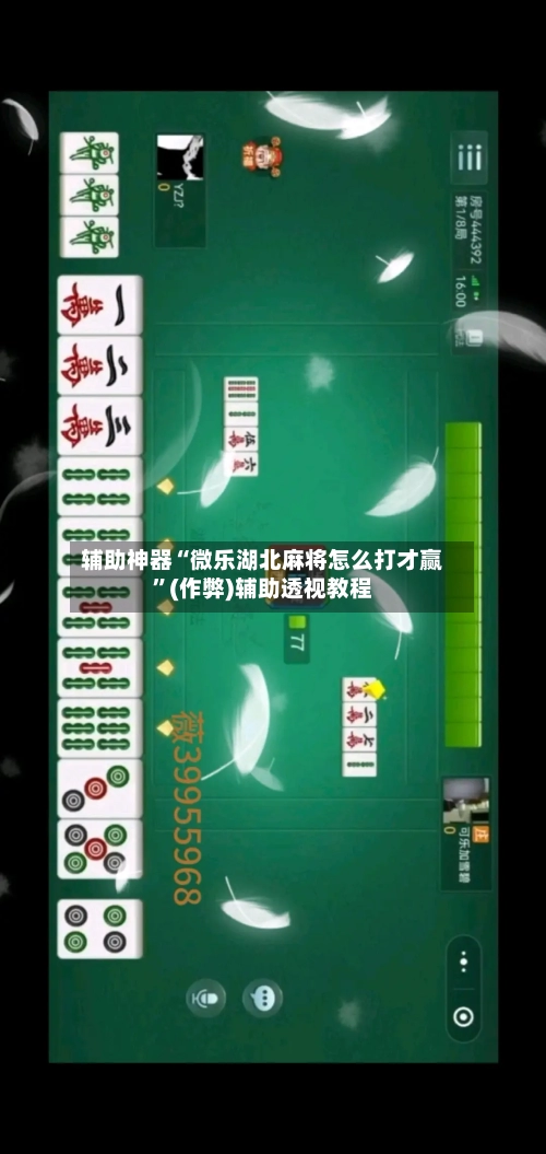 辅助神器“微乐湖北麻将怎么打才赢”(作弊)辅助透视教程-第2张图片