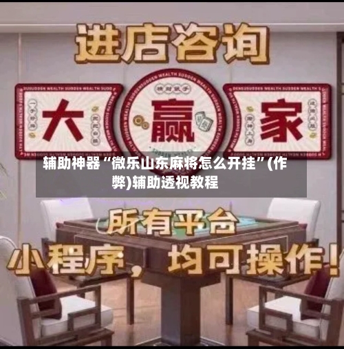 辅助神器“微乐山东麻将怎么开挂”(作弊)辅助透视教程-第2张图片
