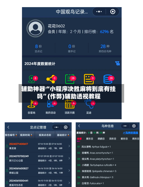 辅助神器“小程序决胜麻将到底有挂吗”(作弊)辅助透视教程-第2张图片