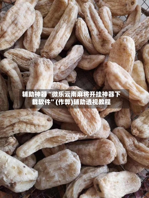 辅助神器“微乐云南麻将开挂神器下载软件”(作弊)辅助透视教程