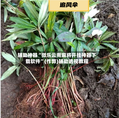 辅助神器“微乐云南麻将开挂神器下载软件”(作弊)辅助透视教程-第2张图片
