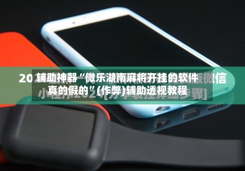 辅助神器“微乐湖南麻将开挂的软件真的假的”(作弊)辅助透视教程-第2张图片