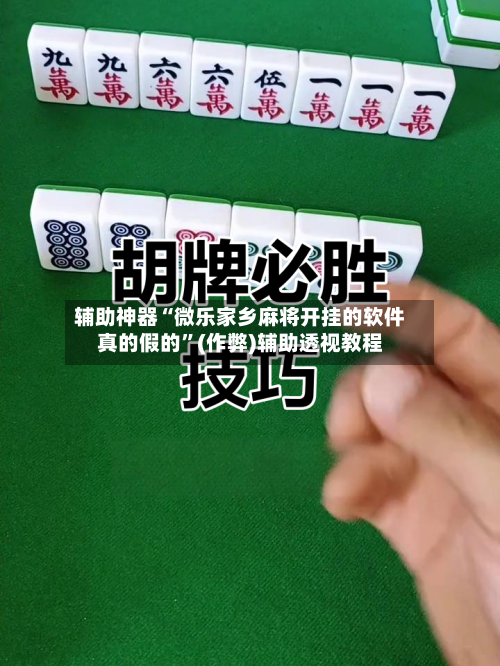辅助神器“微乐家乡麻将开挂的软件真的假的”(作弊)辅助透视教程