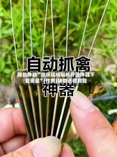 辅助神器“微乐捉鸡麻将开挂神器下载安装	”(作弊)辅助透视教程-第3张图片
