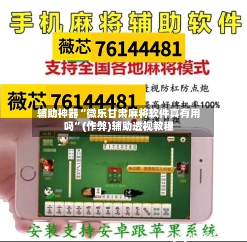 辅助神器“微乐甘肃麻将软件真有用吗”(作弊)辅助透视教程-第3张图片