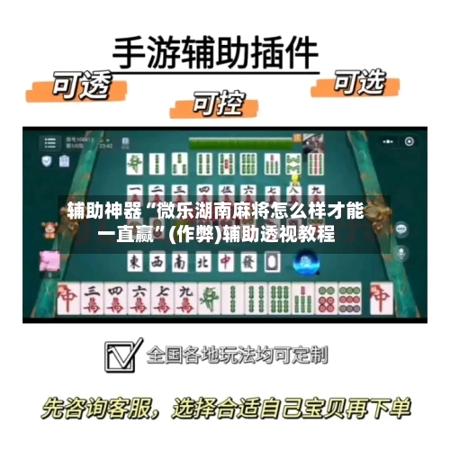 辅助神器“微乐湖南麻将怎么样才能一直赢”(作弊)辅助透视教程