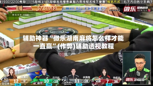 辅助神器“微乐湖南麻将怎么样才能一直赢”(作弊)辅助透视教程-第2张图片