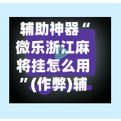 辅助神器“微乐浙江麻将挂怎么用”(作弊)辅助透视教程-第2张图片