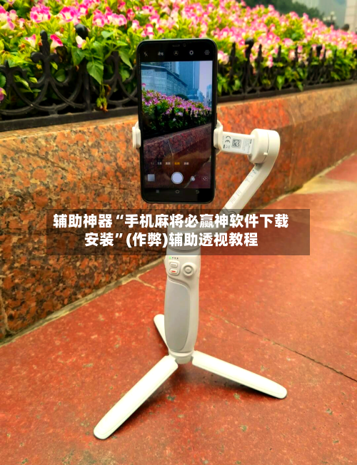 辅助神器“手机麻将必赢神软件下载安装”(作弊)辅助透视教程-第3张图片