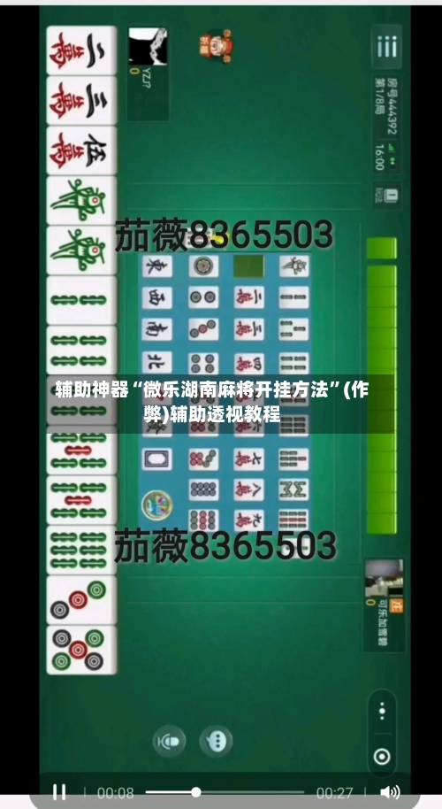辅助神器“微乐湖南麻将开挂方法”(作弊)辅助透视教程