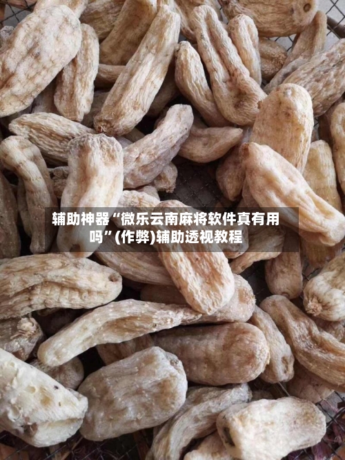 辅助神器“微乐云南麻将软件真有用吗”(作弊)辅助透视教程