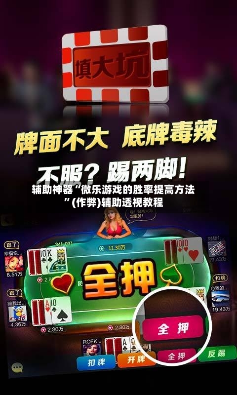 辅助神器“微乐游戏的胜率提高方法”(作弊)辅助透视教程