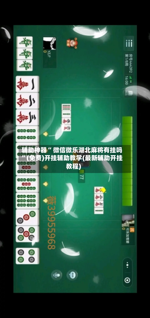 辅助神器“ 微信微乐湖北麻将有挂吗”(免费)开挂辅助教学(最新辅助开挂教程)-第3张图片