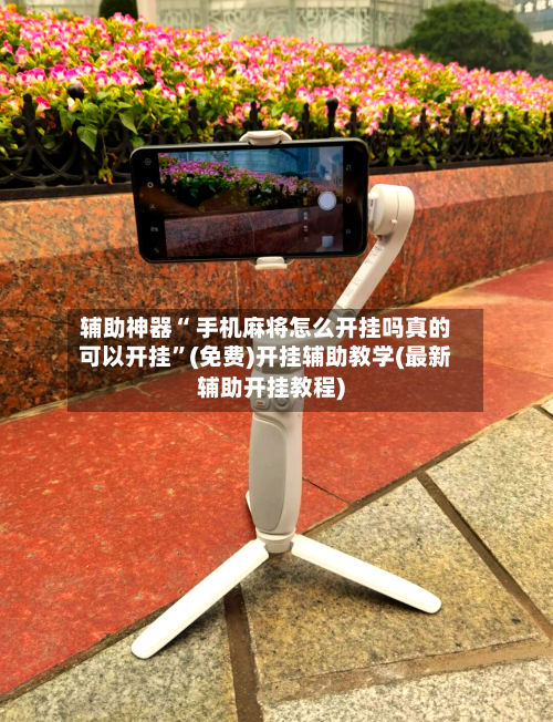 辅助神器“ 手机麻将怎么开挂吗真的可以开挂”(免费)开挂辅助教学(最新辅助开挂教程)-第2张图片