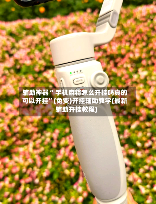 辅助神器“ 手机麻将怎么开挂吗真的可以开挂”(免费)开挂辅助教学(最新辅助开挂教程)-第3张图片