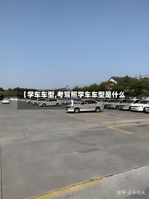 【学车车型,考驾照学车车型是什么】-第2张图片