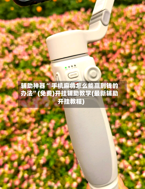 辅助神器“ 手机麻将怎么能赢到钱的办法”(免费)开挂辅助教学(最新辅助开挂教程)