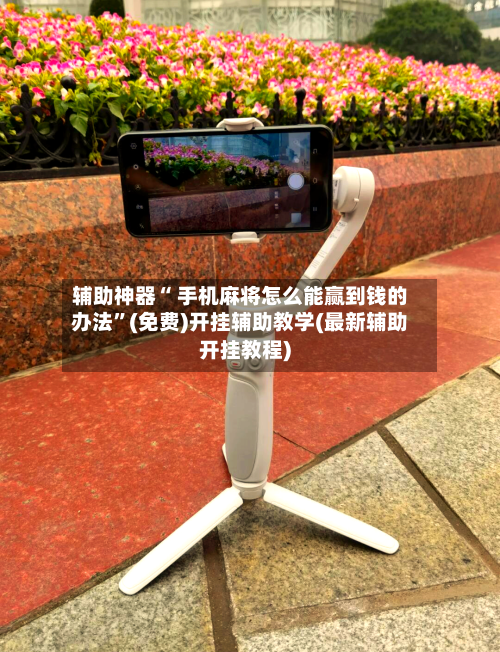 辅助神器“ 手机麻将怎么能赢到钱的办法	”(免费)开挂辅助教学(最新辅助开挂教程)-第2张图片