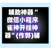 辅助神器“微信小程序雀神开挂神器”(作弊)辅助透视教程-第2张图片