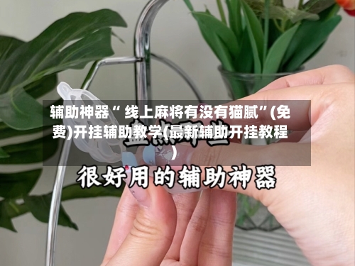 辅助神器“ 线上麻将有没有猫腻”(免费)开挂辅助教学(最新辅助开挂教程)