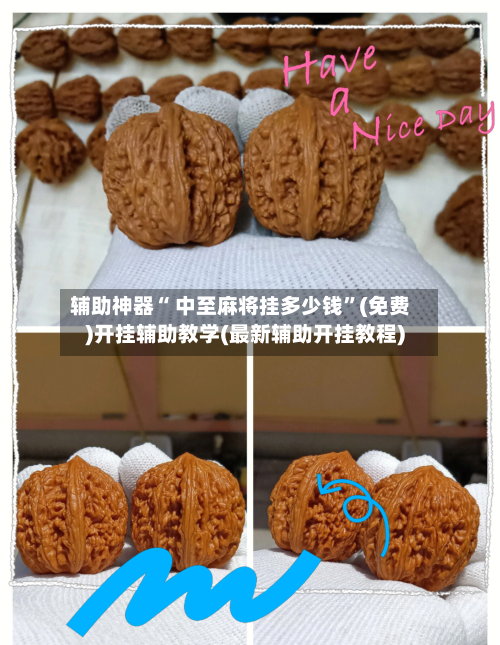 辅助神器“ 中至麻将挂多少钱”(免费)开挂辅助教学(最新辅助开挂教程)